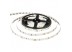 Led лента 12В белая smd3528 60LED/m IP65, 1м