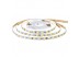 Led лента 12В w+ww AVT smd5025 60LED/m IP20, 1м