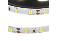 Led лента 12В белая smd3528 60LED/m IP65, 1м