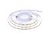 Led лента 12В белая AVT-New smd3528 120LED/m IP20, 1м
