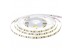 Led лента 12В теплая белая AVT smd2835 120LED/m IP65, 1м Led лента 12В теплая белая AVT smd2835 120LED/m IP65, 1м