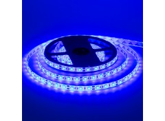 Led лента 12В синяя smd5050 60LED/m IP65, 1м