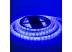 Led лента 12В синяя smd5050 60LED/m IP65, 1м