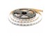 Led лента 12В rgbw AVT smd5050 60LED/m IP20, 1м Led лента 12В rgbw AVT smd5050 60LED/m IP20, 1м