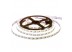 Led лента 12В белая AVT smd2835 204LED/m IP20, 1м Led лента 12В белая AVT smd2835 204LED/m IP20, 1м