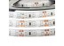 Led лента 12В синяя smd2835 120LED/m IP65, 1м