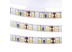 Led лента 12В белая Motoko smd2835 120LED/m IP20, 1м