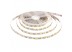 Led лента 12В белая Motoko smd5050 60LED/m IP20, 1м