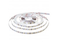 Светодиодная лента нейтральная 12V smd2835 60LED/м IP20