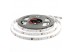 Led лента белая 12В (Стандарт) smd2835 60 LED/m IP20, 1м Led лента белая 12В (Стандарт) smd2835 60 LED/m IP20, 1м