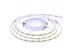 Led лента 12В белая Motoko smd2835 120LED/m IP65, 1м