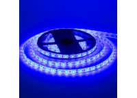 Led лента 12В синяя smd5050 60LED/m IP20, 1м