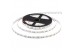 Led лента 12В синяя smd5050 60LED/m IP65, 1м
