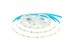 Led лента AVT 24В холодная белая smd2835 126LED/m IP20, 1м Led лента AVT 24В холодная белая smd2835 126LED/m IP20, 1м