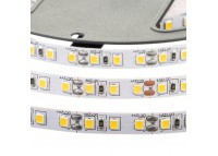 Светодиодная лента белая холодная 24V AVT smd2835 120LED/м IP20