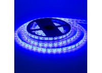 Светодиодная лента синяя 24V smd5050 60LED/м IP65