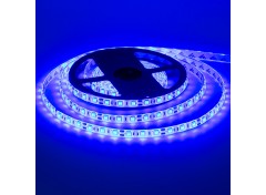 Светодиодная лента синяя 24V smd5050 60LED/м IP65