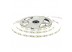 Светодиодная лента белая холодная 24V AVT smd2835 120LED/м IP20