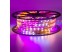 Мигающая led лента Multi-Color 220В smd2835 48LED/m 6W IP65, 1м