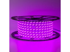 Led лента 220В розовая smd2835 120LED/m 12W IP65, 1м