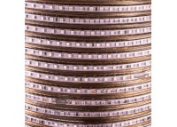 Led лента 220В синяя AVT smd2835 120LED/m 4W IP65, 1м