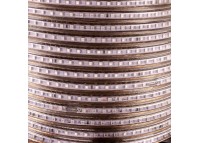 Led лента 220В желтая AVT smd2835 120LED/m 4W IP65, 1м