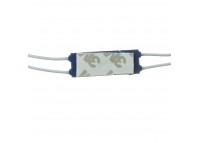 Модуль МТК 12V синий 2led smd5730 1Вт IP65