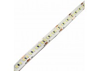 LED лента 14Вт 24В SMD2835 180 диодов, холодный белый 6500К, серия Externum IP65 , гарантия 3 года