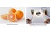 LED стрічка COLORS 256-2835-24V-IP20 34W 4800Lm 4000K 2.5м (DS8256-24V-12mm-NW)