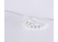 LED стрічка COLORS 60-5050-24V-IP33 16.8W RGB+4000K 5м (D560RGBNW-24V-12mm)