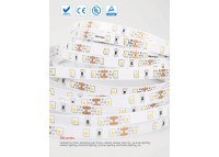LED стрічка RISHANG 60-2835-24V-IP20 12W 956Lm 4000K 5м (RN0060TC-A-NW)