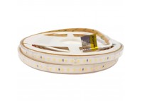 LED стрічка RISHANG 128-2835-24V-IP68 12W 1535Lm 4000K 5м (RDA2C8TC-A-NW)