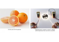LED стрічка COLORS 160-2835-24V-IP20 16.4W 2400Lm 3000K 5м (DS8160-24V-10mm-WW)