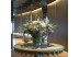 LED стрічка COLORS 160-2835-24V-IP20 13W 2000Lm 6000K 5м (DR8160-24V-10mm-W)
