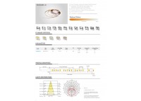 LED стрічка RISHANG 96-3528-24V-IP33 9W 2700K/6500K 5м (RD0096BC-B-MW)