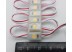 LED-модуль Rishang 1-2835-12V-IP65 20Lm 0.2W 3000K (M601TA)