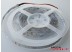 Светодиодная лента SMD 3528/60 (IP20) premium 24V Светодиодная лента SMD 3528/60 (IP20) premium 24V